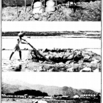 Salt Manufacture in Hong Kong - Jan 1940