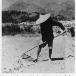 Salt production at San Hui, Tuen Mun