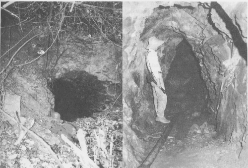 Mine Tunnels
