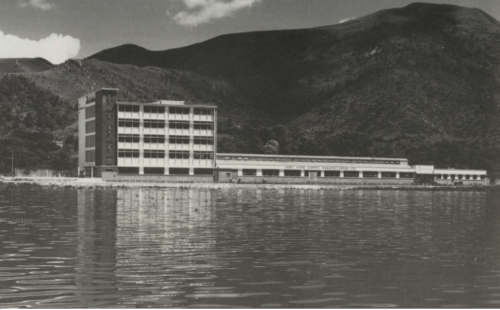 Tai Ping Carpet Factory Of Tolo Market 1960 HKHP
