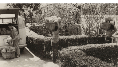 Tai Ping Carpets, Delivering Stock To Cheung Yuen Villa, 1960s, HKHP
