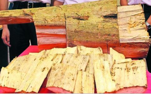 Incense , SCMP 4.1.16 Lamma arrests a