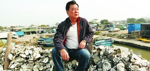 Oyster beds, Lau Fau Shan, SCMP snipped image a 17.1.15