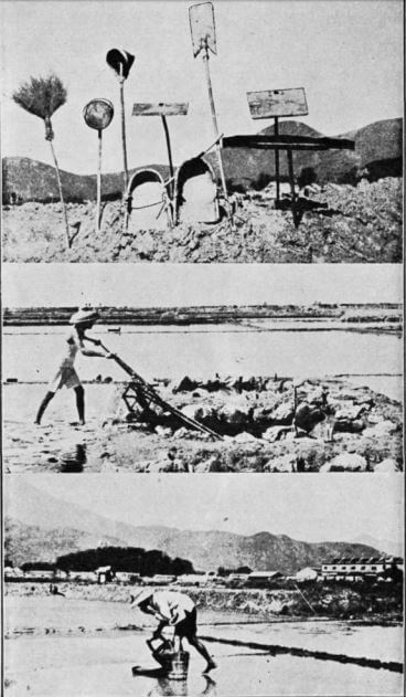 Salt Manufacture in HK 1967 RASHKB article b