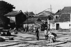 Cheung Cha Fish Drying Detail C1920s Courtesy, HKU Libraries HK Memory Snipped Image