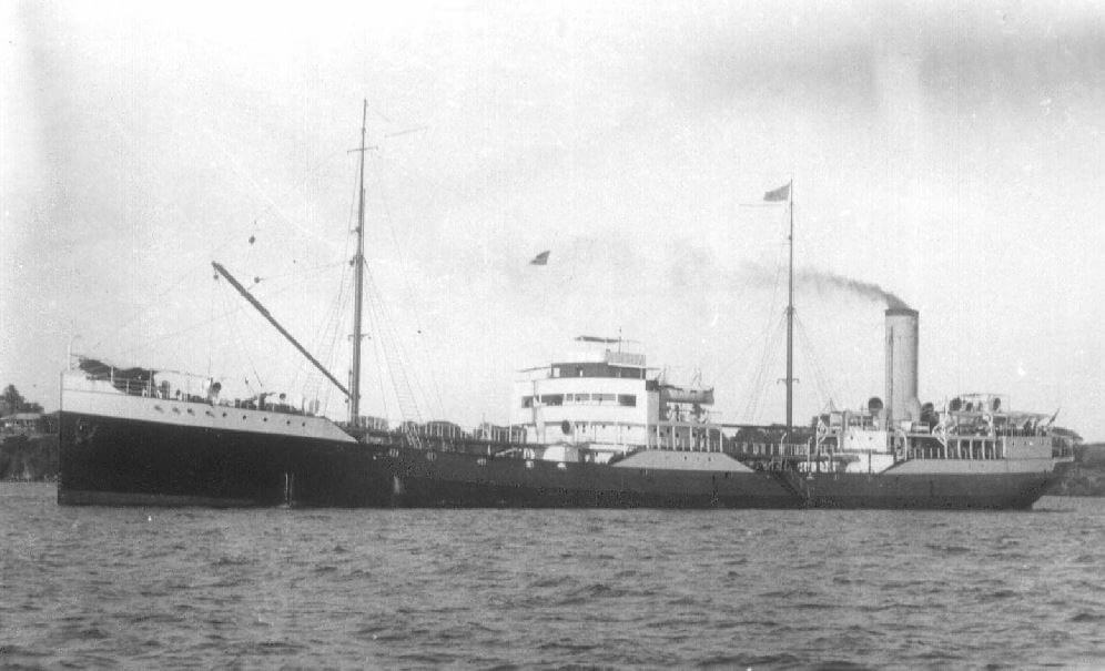 paludina-image-www-helderline