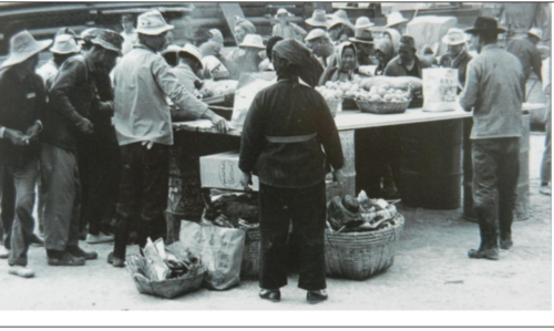 Quarrying In Hk Since World War Two Lord Wilson Heritage Trust Photo 7 Rock Breakingin Sung Hill Kowloon 1956