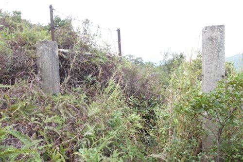 Abandoned Gate