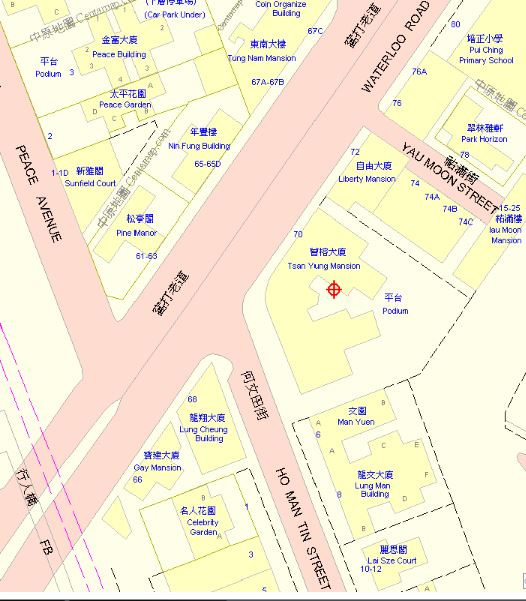 Tsan Yung Mansions A Centamap