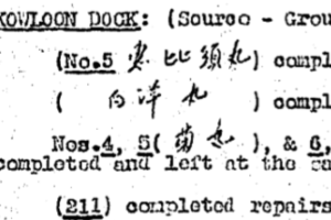 Baag Report WIS #25 Hone Page Detail