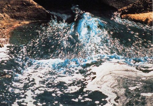 Hong Kong Waste 007 Raw Effulent Into The Sea