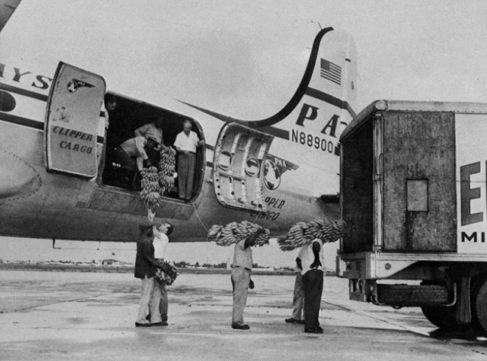 Pan Am Clipper Cargo DOUGLAS Dc 4 Loading Bananas Courtesy Pan Am Historical Foundation