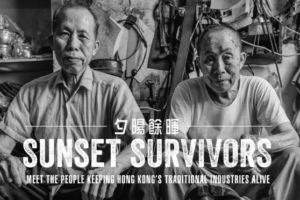 Sunset Survivors Book Cover Detail