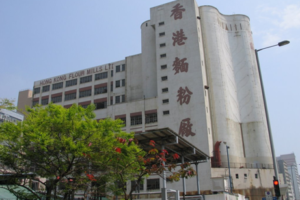 David LF Sung And HK Flour Mills Detail Image 1 York Lo