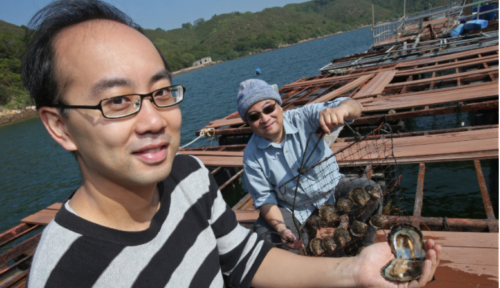 Pear Farming In HK Image A SCMP 15.2.18