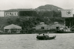 The Ho Family Of Tsuen Wan And Caltex Detail Image 2 York Lo