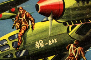 FA Swoffer Detail Flying Mag Cover IDJ