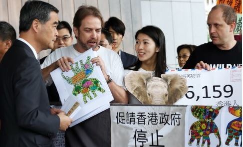 Ivory trade Leung Chun Yin SCMP 28 Jan 2016