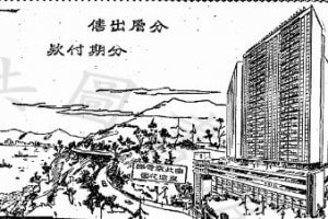 Tung Kin Land Investment Detail Image 1 York Lo
